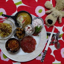 100円のサラダ大根と遊びまくる 全7品