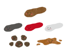 バナナ形?コロコロ系?「便」を見れば健康状態がわかる!スッキリ快便になる3つの秘訣を紹介