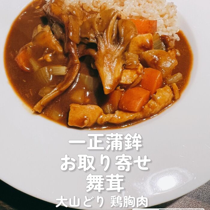 4.カレーをもりつけて完成!