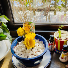 やってみた!春一番を告げる花!福寿草を少し気高くリメイク♪