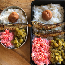 ♪【ジブリの食卓 となりのトトロ】サツキが作ったおべんとう♪