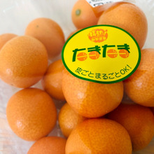 【宮崎県】ついに解禁!待ってました♡