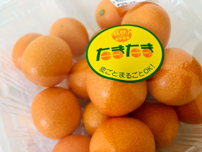 【宮崎県】ついに解禁!待ってました♡