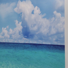 【ふすまリメイク】すぐに破れるふすまのお悩みに♡癒される「ふすま」いかがですか?