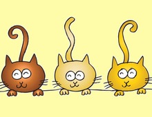 触ると怒る猫の警戒心をとくために飼い主がすべきこと