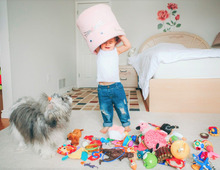 片付けが大変な「シルバニアファミリー」はどこに、どう収納する?【宅建士の家事ラクな家づくり⑫】