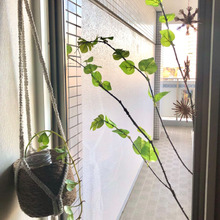 ダイソーのフェイクグリーンで窓の外に木を作る(続編)