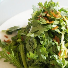 鍋以外でも食べて欲しい☆春菊の選び方や保存方法!