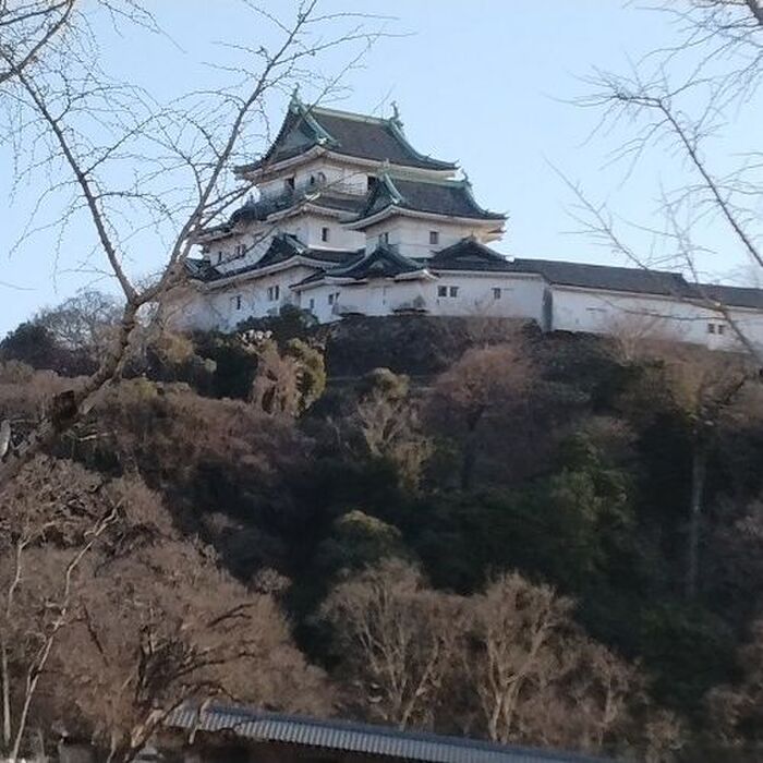 観光2 和歌山城