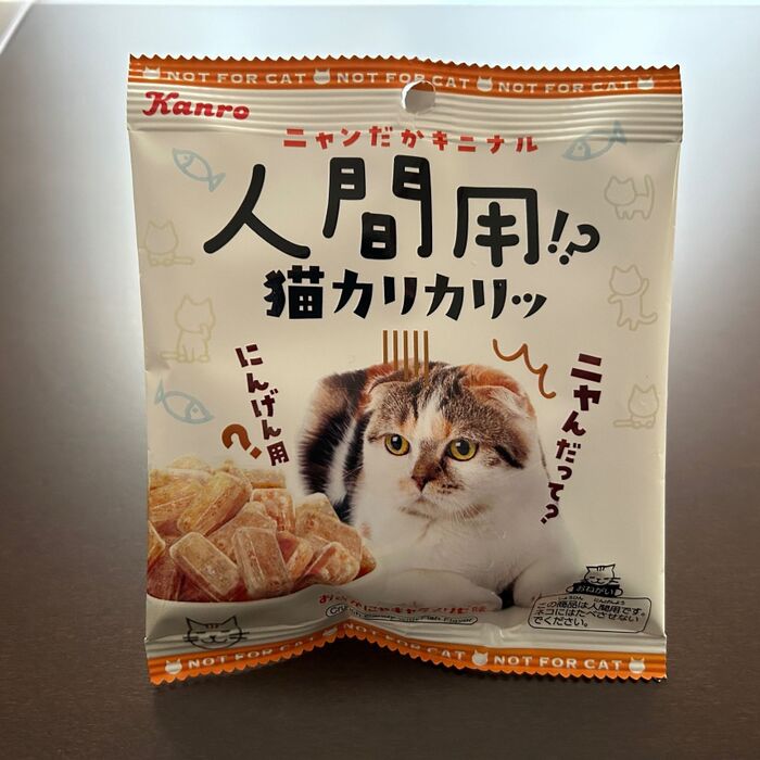 ニャンだぁ!!これはー?