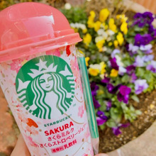 今年もこの季節がやってきた