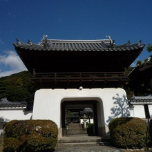 【行ってみた】お茶の宇治で一日のんびり