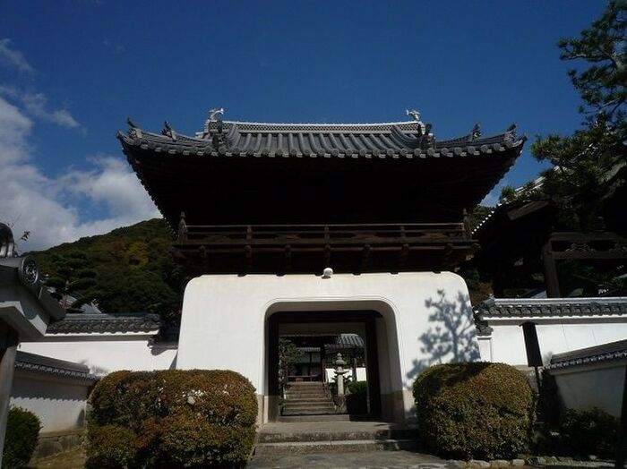 【行ってみた】お茶の宇治で一日のんびり