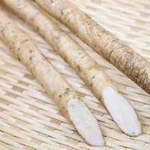 美味しいごぼうの選び方・保存方法