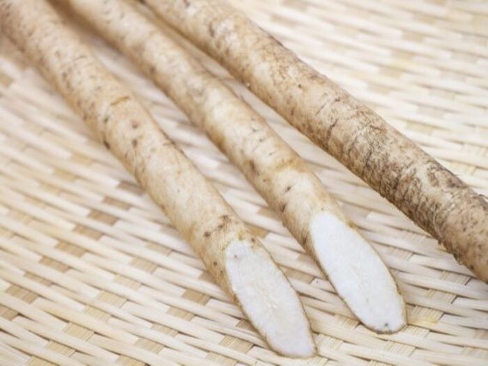 美味しいごぼうの選び方・保存方法