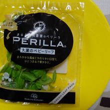 大葉のベビーリーフ