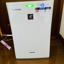 我が家の花粉症対策のベスト3