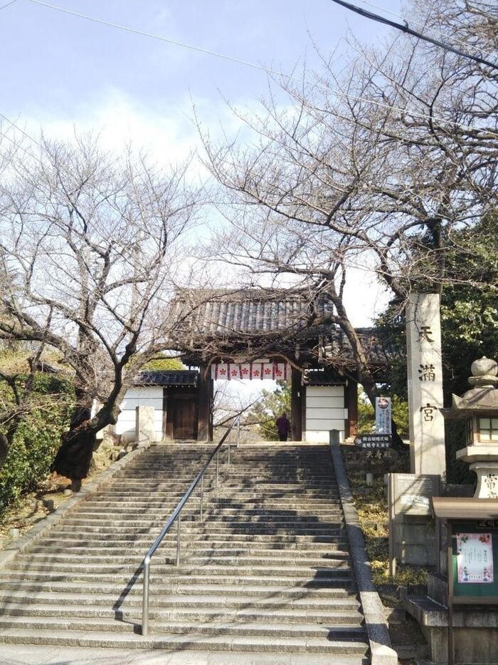 道明寺