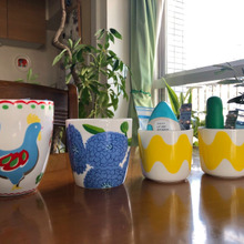 【花粉症】かさばる〜!家族の薬置き場所、これが便利♪