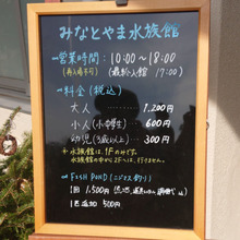 元小学校の水族館「みなとやま水族館」孫と3人で訪問!!