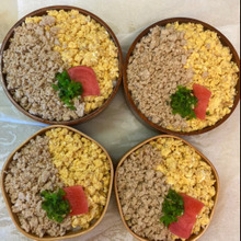 二段重ねのお花見二色弁当♪