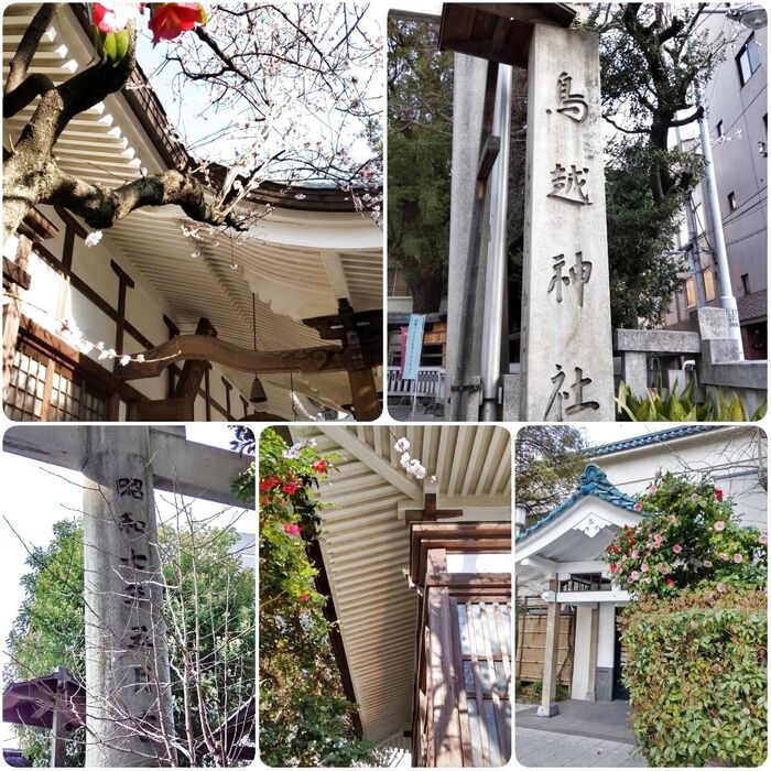 《旅行支援》を活用して開運の旅三日目