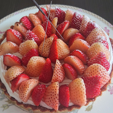 非日常の食事を自宅で…出張料理「美味しい顔」