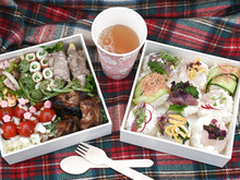 我が家のお花見弁当