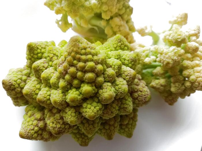 コレな~んだ?ヒントはオシャレなお野菜です♪