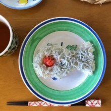 喜ばせようと思ったのに大不評(スイミーとスプラトゥーン)