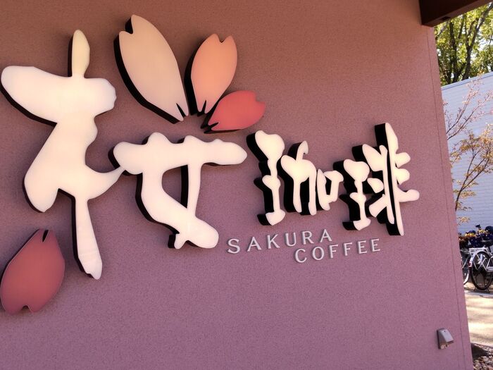 【桜珈琲】桜を愛でて美味しいランチ♡14時まで人気のモーニングが食べれる?春限定メニューも実食レポ!