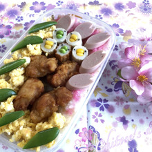 【何処から見ても楽しめる】みんなでお花見弁当☆