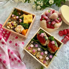 コンビニのお惣菜で華やかお花見弁当