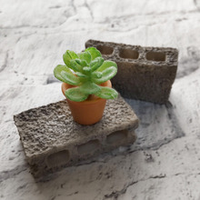 【セリア】可愛い~!ミニチュアの世界♡こんなの欲しいと思ったら、見つけた!