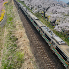 宮城県船岡城址公園桜まつり開催中!ベストショットはここから!
