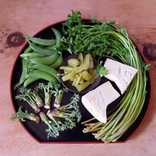 簡単!華やかなレッドカーペット風ガーデンテーブルコーディネート~野菜が映えます!