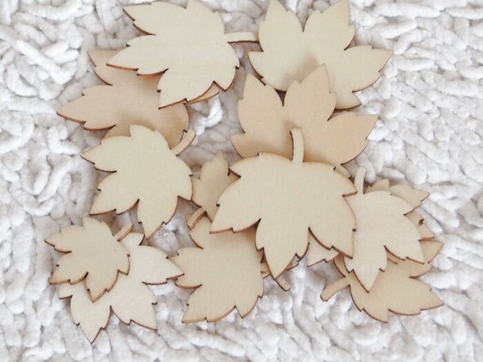 購入していた葉チップです