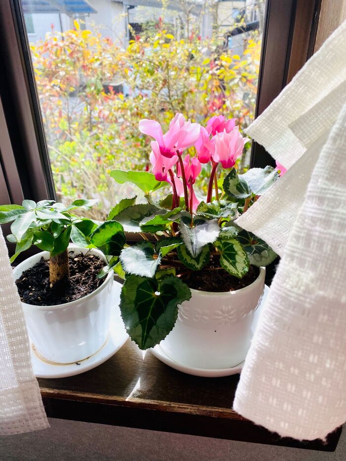 お菓子などに入っている乾燥剤♪たまには役に立つよ