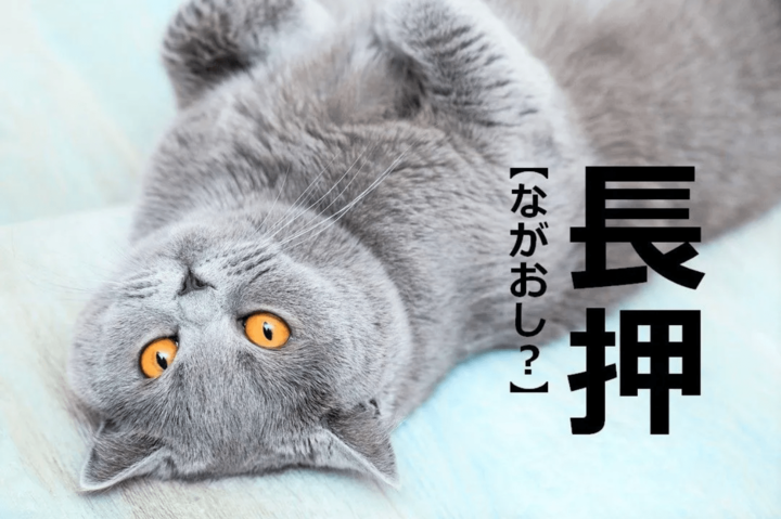 【長押】を「ながおし」と読むと笑われます!【読めないと恥ずかしい漢字クイズ】