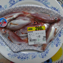 リリースの規格は、無いのか?