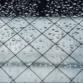 梅雨の季節に備えよう!今からできるカビ対策5選