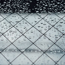 梅雨の季節に備えよう!今からできるカビ対策5選