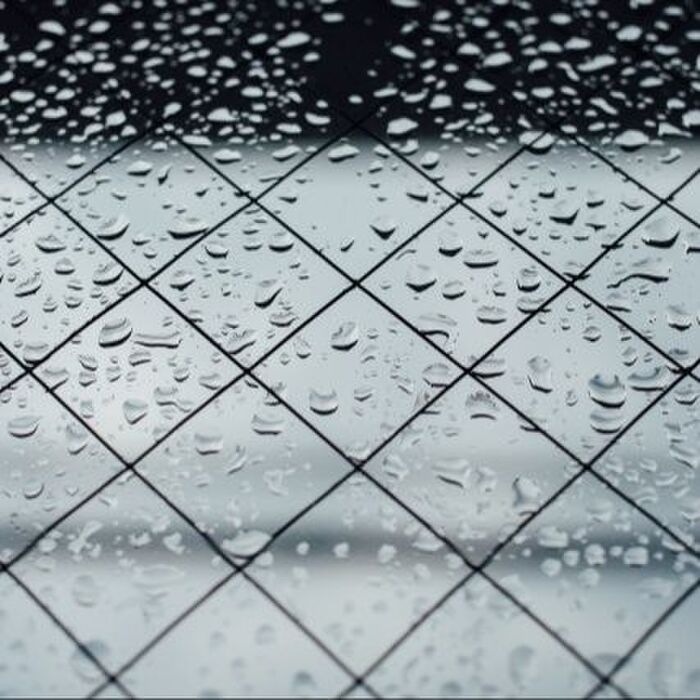 梅雨の季節に備えよう!今からできるカビ対策5選