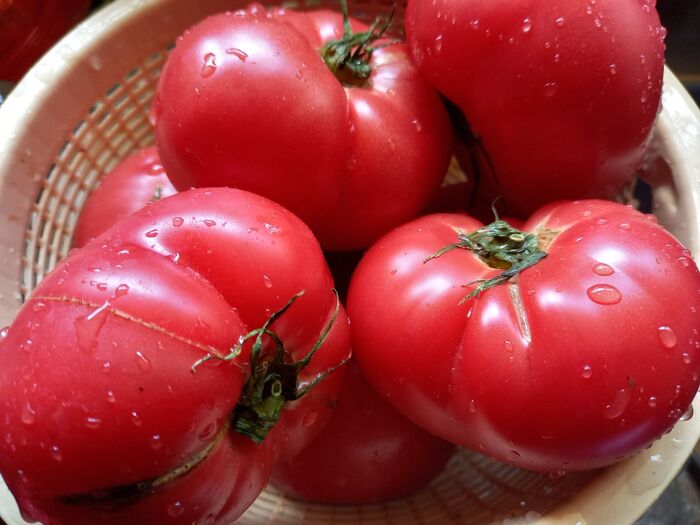 真っ赤なトマトが手に入ったらケチャップを作るべし