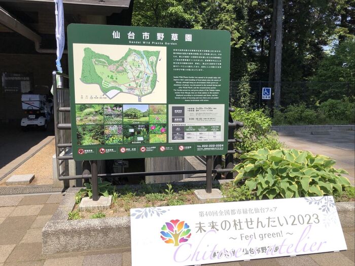 【本当は教えたくない】宮城の穴場的スポット