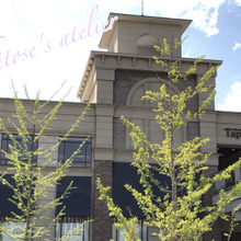 【まるで海外】宮城に来たら行かなきゃ♪