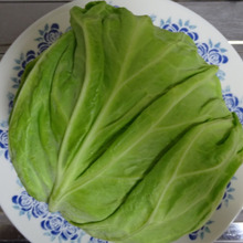 春キャベツと…遊ぶ!!Jouer avec le chou de printemps