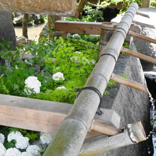 【GW】京都の旅で楽しかったこと3選♡