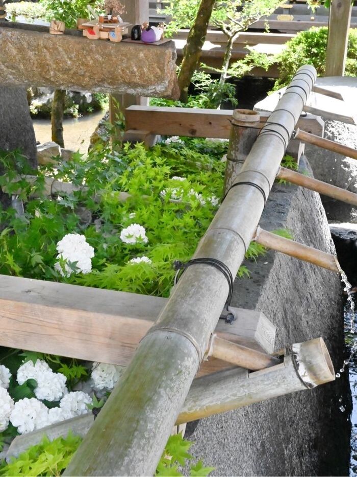 【GW】京都の旅で楽しかったこと3選♡