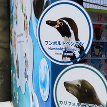 大阪発【天王寺動物園】令和5年4月26日オープンの動物ゾーンって?今お勧めの動物ゾーン3選